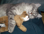 Andrusha and teddy bear